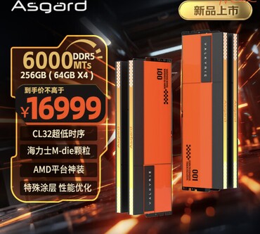 DDR5-6000-kitet på 256 GB kostar å andra sidan hela 2 400 USD. (Bildkälla: JD.com)