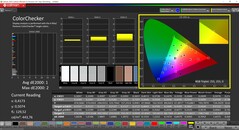 Calman ColorChecker (Profil: sRGB, Målfärgrymd: sRGB)