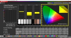 CalMAN ColorChecker (profil: P3, målfärgrymd: P3)