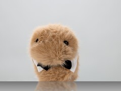 Dieter (Bildkälla: ZKM Karlsruhe)