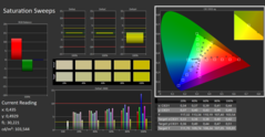 CalMan ColorChecker: Mättnad