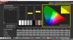 CalMAN ColorChecker (profil: sRGB)