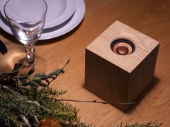 Den trådlösa högtalaren JVCKenwood WDS-01 använder trä för kabinett och högtalarelement. (Bildkälla: JVCKenwood)