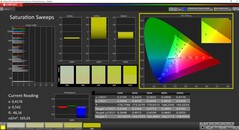 CalMAN Colorchecker Mättnad