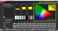 CalMAN ColorChecker (profil: sRGB, målfärgrymd: sRGB)