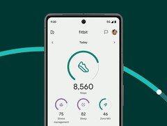 Fitbit tillåter vissa användare att testa tre nya funktioner i sin app. (Bildkälla: Fitbit)