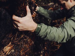 Whoop's Navigator Band i Evergreen