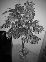 Kamera för mörkerseende