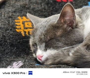 Vivo X300 Pro 400 mm med telekonverter.