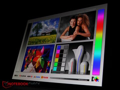 OLED-panelen...