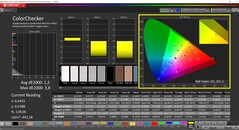 CalMAN ColorChecker (profil: P3, målfärgrymd: P3)