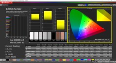 CalMAN ColorChecker (profil: Native, målfärgrymd: P3)