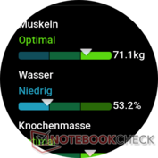 Kroppssammansättning