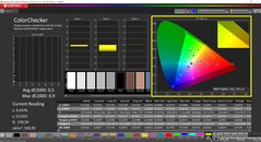 CalMAN ColorChecker (profil: Vivid, målfärgrymd: P3)