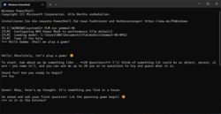 FastFlowLM i Windows PowerShell