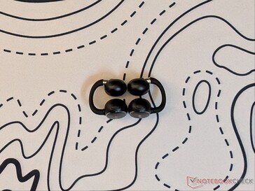 Översiktsbild av Clip 2-öronsnäckorna.