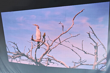 Projektionsskärm utomhus (dagsljus) (Bildkälla: Daniel Schmidt)