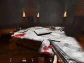 Bild från spelet Darkenstein 3D. (Bildkälla: Steam)
