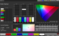Färgomfång (profil: Original Pro, målfärgrymd: P3)