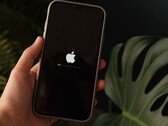 En hand håller en iPhone, Apples logotyp och en förloppsindikator lyser på skärmen.