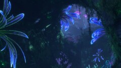 Avatar Pandoras gränser