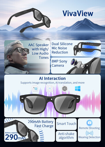 VivaView funktionsöversikt (Bildkälla: Rollme)
