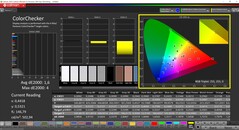 CalMAN ColorChecker (Profil: Native, Målfärgrymd: P3)