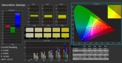 Calman ColorChecker mättnad kalibrerad