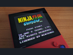 En teasad bild av Ninja Gaiden Shadow DX på X (bildkälla: Marc Max)