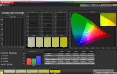 CalMAN Mättnad kalibrerad