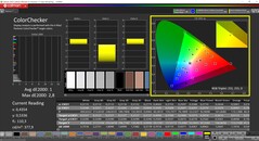 CalMAN ColorChecker (profil: Display P3, målfärgrymd: P3)