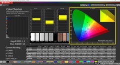 CalMAN ColorChecker (profil: kalibrerad, målfärgrymd: P3)