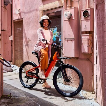 Momentum Vida E+ elcykeln kan hantera en maximal nyttolast på upp till 136 kg (300 lbs) (Bildkälla: Momentum)