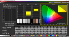 CalMAN - ColorChecker kalibrerad (målfärgrymd AdobeRGB)