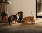 Petlibro smart matare för husdjur. Vissa enheter kan inte dela ut mat på grund av strömavbrottet.
