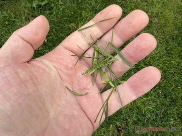 ...än vad vi hade förväntat oss av den utlovade mulchfunktionen.