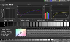 CalMAN Grayscale – Utomhusdisplay