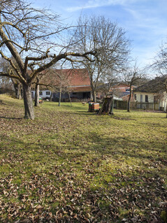 Huvudkamera (ingen zoom)