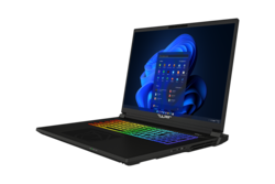 Tulpar S8 V1.1 18" bärbar dator för spel