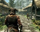 Bild från spelet The Elder Scrolls V: Skyrim. (Bildkälla: Steam)