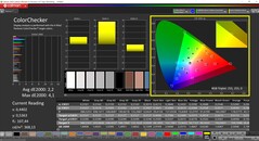 CalMAN ColorChecker (profil: Native, målfärgrymd: P3)