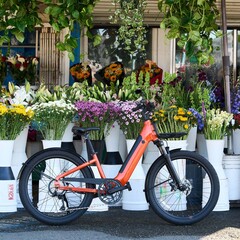 Momentum Vida E+ elcykel har en total räckvidd på 88,5 km på en enda laddning (Bildkälla: Momentum)