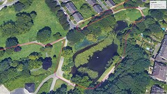 GPS-test: damm