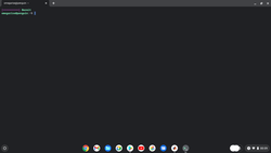Linuxmiljö under Chrome OS