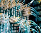 Blå fiberoptiska kablar med vita kontakter anslutna till en patchpanel i ett datacenter