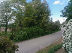 Foto taget med huvudkameran