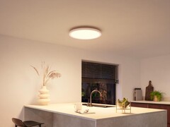 Philips Hue Devote taklampa (bilden) har kommit till Europa. (Bildkälla: Philips Hue)