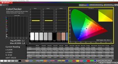 CalMAN ColorChecker (sRGB-profil, sRGB-målfärgrymd)