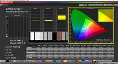 CalMAN ColorChecker (profil: Native, målfärgrymd: P3)