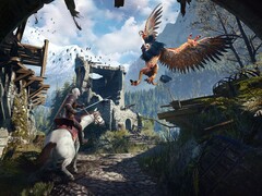 Bild från spelet The Witcher 3: Wild Hunt. (Bildkälla: Steam)